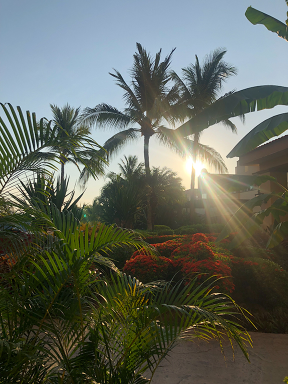 Islas-islasmarietas-marietasislands-karlavargas-travel-visitmexico-bucketlist-karlavargas